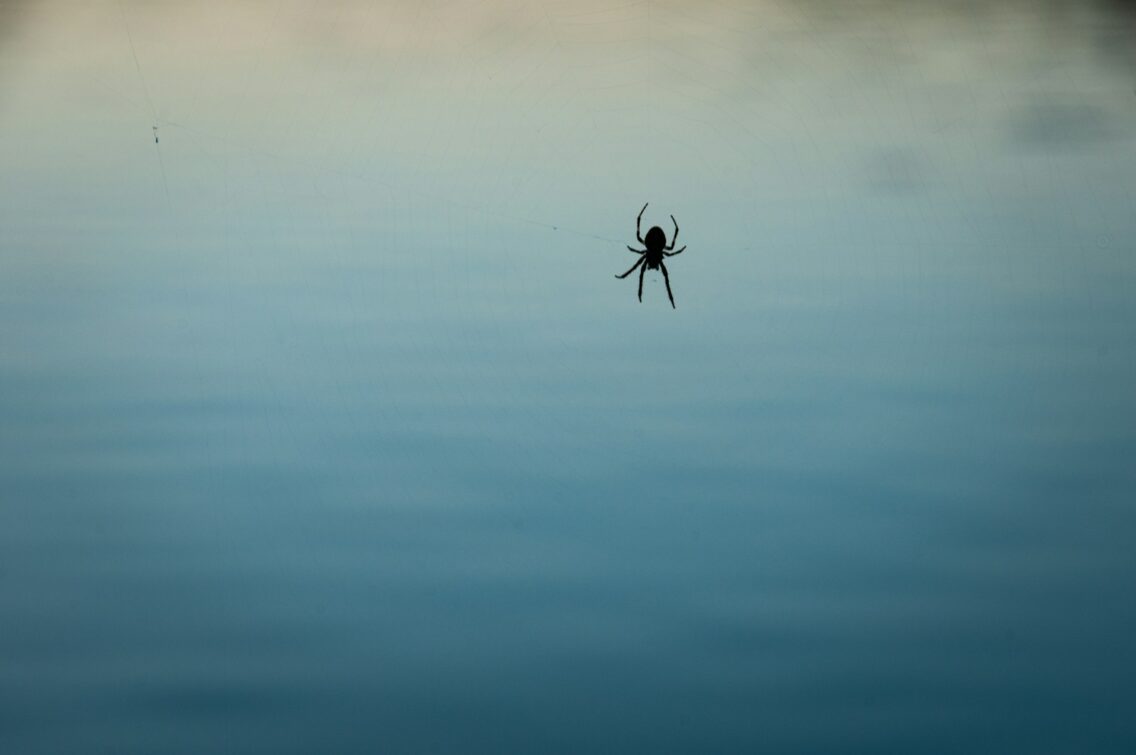 World’s 25 Top Strangest Phobias