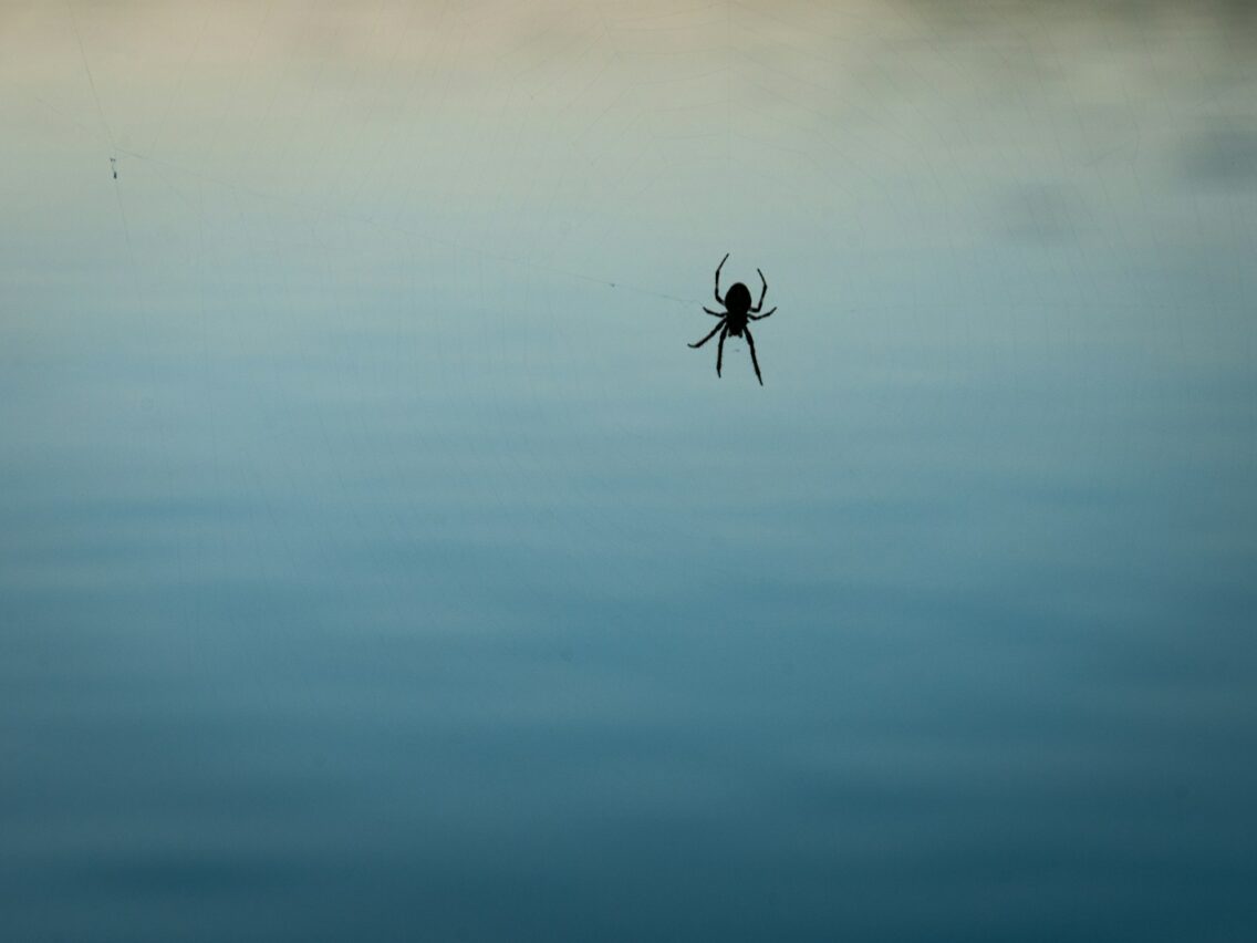 World’s 25 Top Strangest Phobias