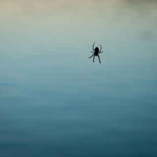 Jim Yukich Talks Movies, Life, and Sets with Chelsea Lately!