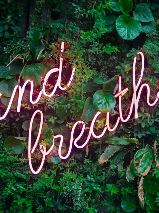 9 self-care habits that actually work