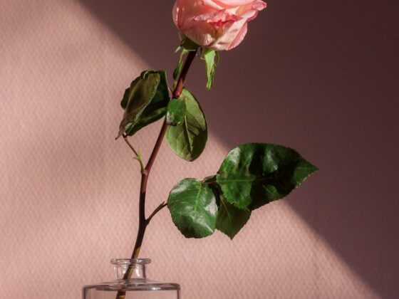 Things That Are Weirdly Hard as an Adult