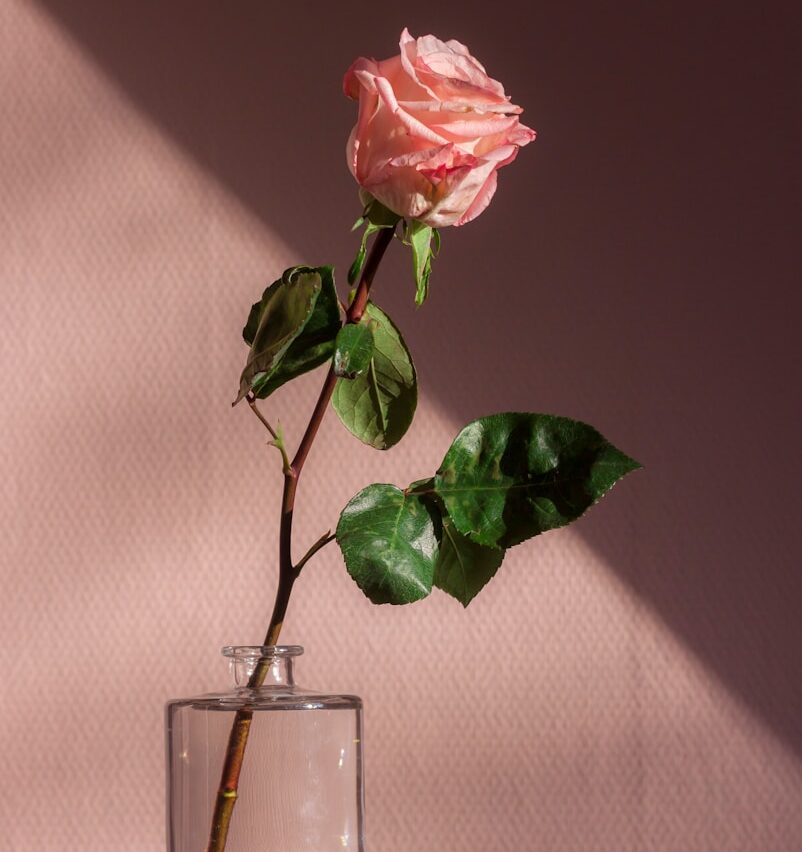 Things That Are Weirdly Hard as an Adult