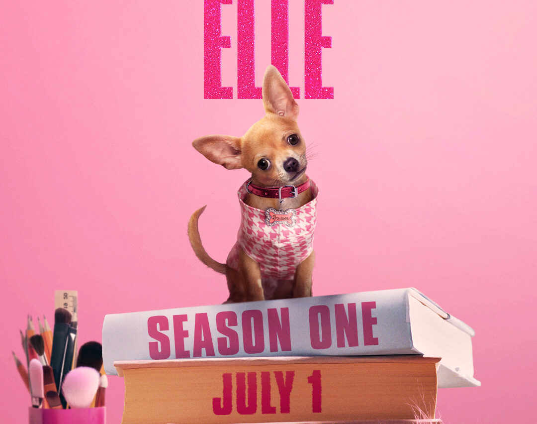 Legally Blonde Prequel: Everything We Know About Elle