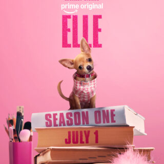 Master Netflix: Set Up, Stream, and Curate Like a Pro