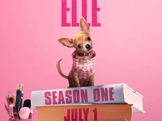 Legally Blonde Prequel: Everything We Know About Elle