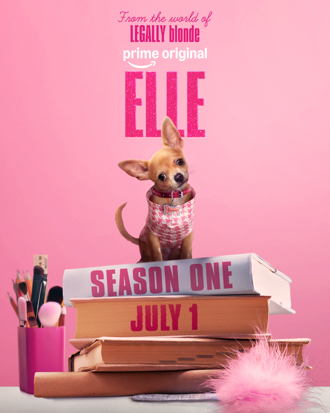 Legally Blonde Prequel: Everything We Know About Elle