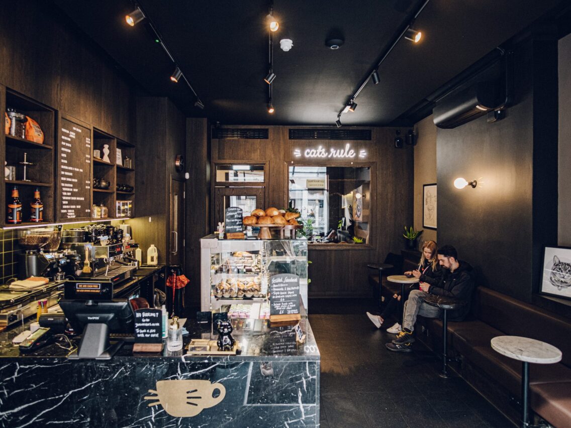 Review Of Java Whiskers Cat Café In Marylebone