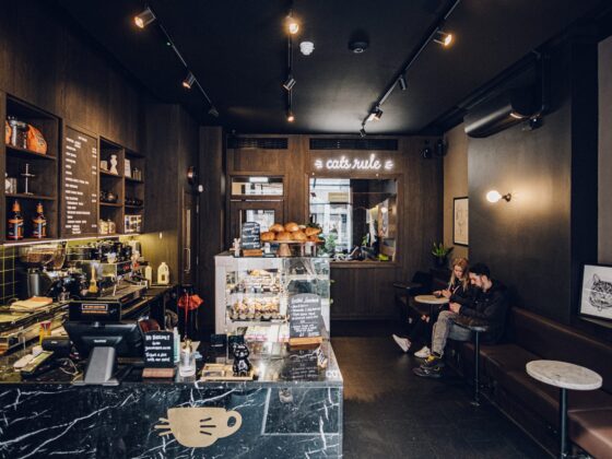 Review Of Java Whiskers Cat Café In Marylebone