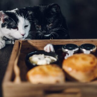 Weird things your body does when you’re stressed