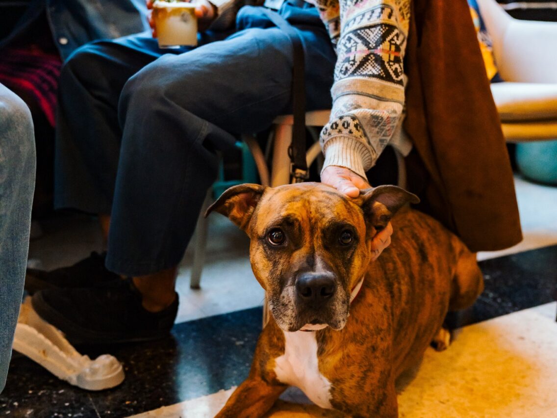 POPP Review: Where Malta Goes for Good Drinks